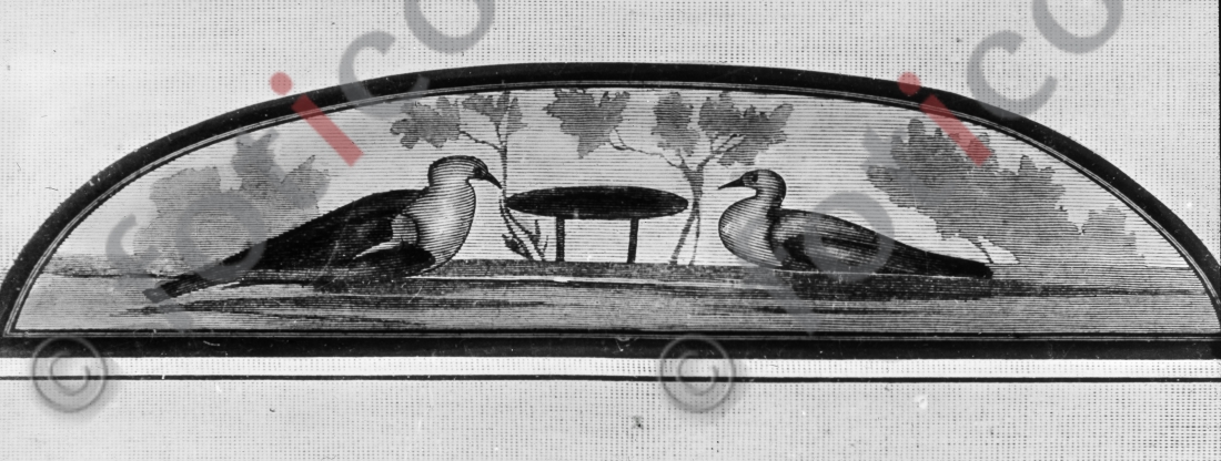 Enten als christliche Symbole | Ducks as Christian symbols - Foto foticon-simon-107-066-sw.jpg | foticon.de - Bilddatenbank für Motive aus Geschichte und Kultur